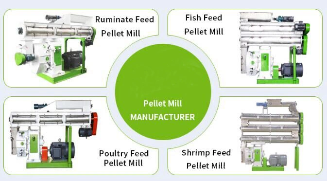 Feed Pellet Mill with Large Capacity 10t/H