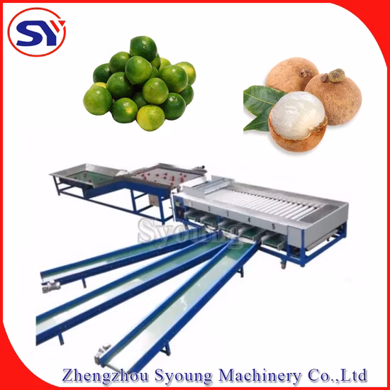 Setaccio per mais di alta qualità, scuotitore vibrante, classificatore a setaccio vibrante in acciaio inossidabile