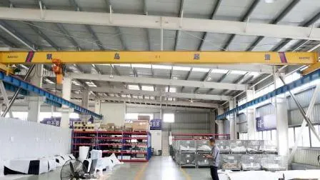 Disegno dal produttore cinese con gru da officina disponibile da 1-100 tonnellate