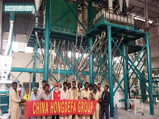 Impianto di macinazione farina di grano tenero di alta qualità da 80t/24h per l'Africa